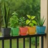 Square Plastic Flower Pot Set