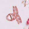 Matte Hair Clamp Clip