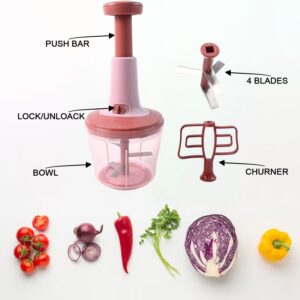 Push Vegetable Chopper with Steel Blades