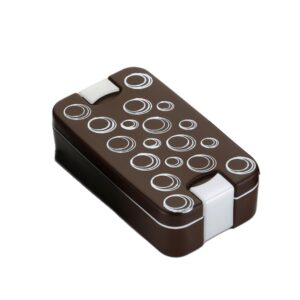 Two Compartment Leak Proof Lunch Box with Spoon