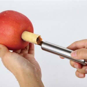 Stainless Steel Fruit Corer Tool