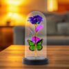 LED Preserved Rose Butterfly Dome