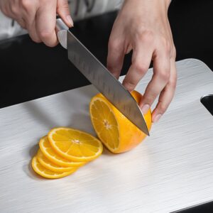 Stainless Steel Cutting Board