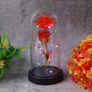 Elegant LED Eternal Rose Dome