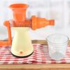 Manual Carrot And Fruit Juicer