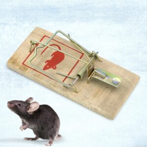 Wooden Mouse Trap