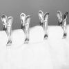 Stainless Steel Clothes Clip Set