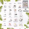 Vegetable and Flower Seeds Combo Pack