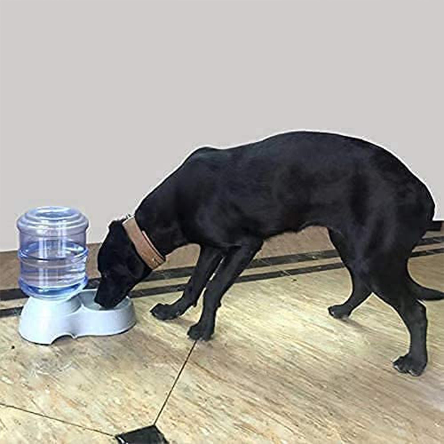 Automatic Pet Water Dispenser