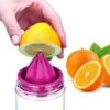 Citrus Juicer Infuser Bottle