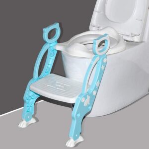 Potty Training Toilet Seat with Step Stool