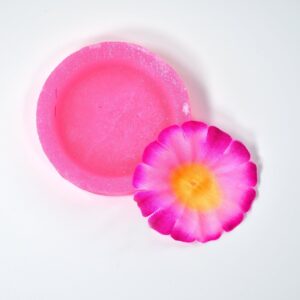 Flower Fragrance Air Freshener Blocks