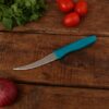 Stainless Steel Tomato Knife
