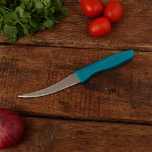 Stainless Steel Tomato Knife