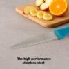 Stainless Steel Paring Knife