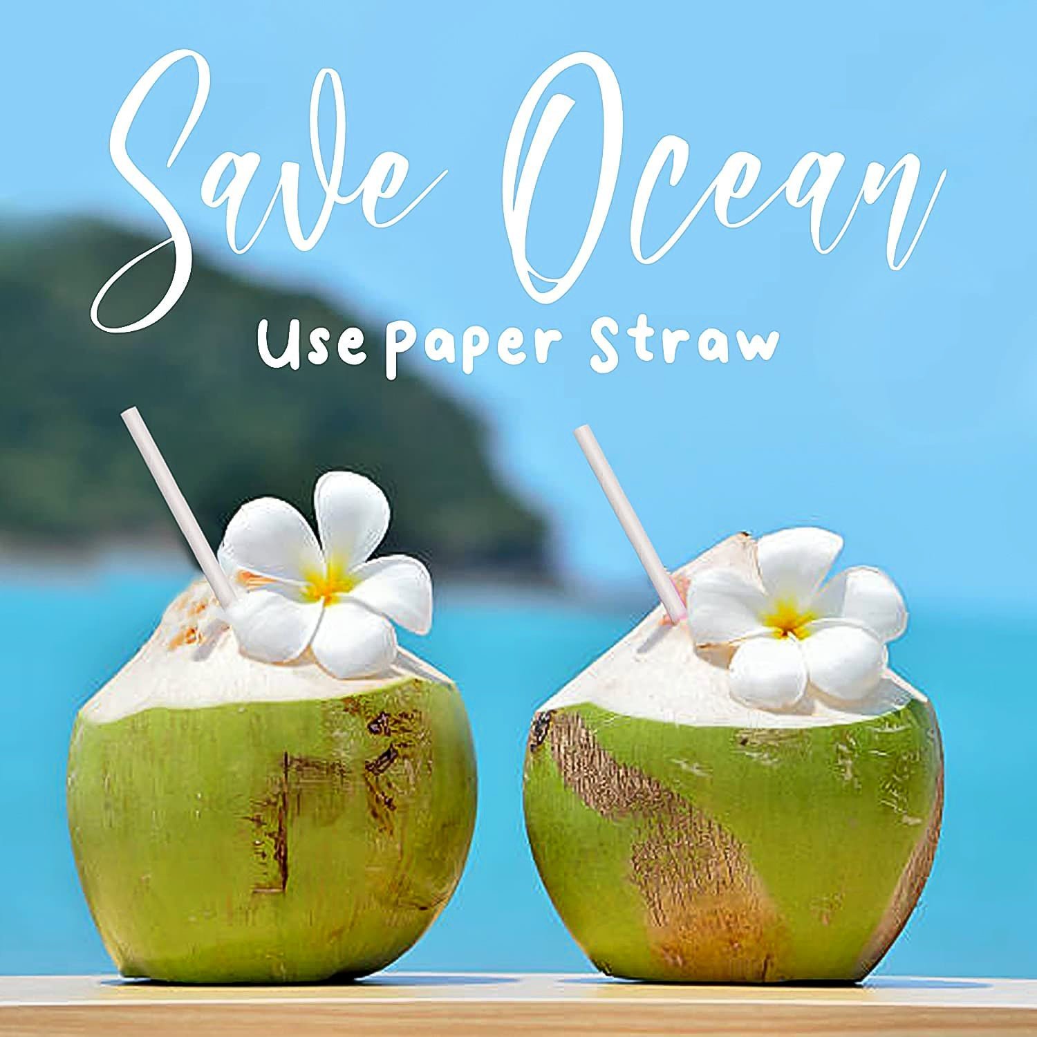 Paper Drinking Straw