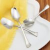 Stainless Steel Ice Cream Spoon Set