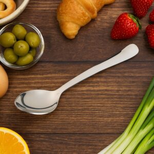 Stainless Steel Dining Spoon